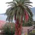 Apartmani Kubus, Privatunterkunft im Ort Herceg Novi, Montenegro - pogled sa balkona